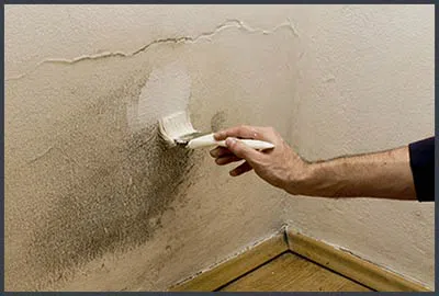 Delray Beach Restoration Expert Delray Beach, FL 561-327-9799 Delray Beach Restoration Expert Delray Beach, FL 561-327-9799 - content-mold