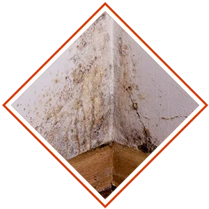 Delray Beach Restoration Expert Delray Beach, FL 561-327-9799 Delray Beach Restoration Expert Delray Beach, FL 561-327-9799