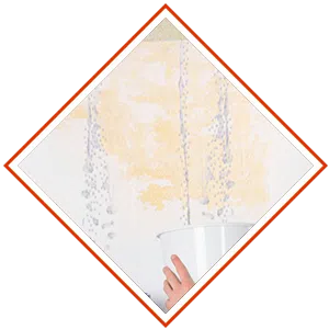 Delray Beach Restoration Expert Delray Beach, FL 561-327-9799 Delray Beach Restoration Expert Delray Beach, FL 561-327-9799